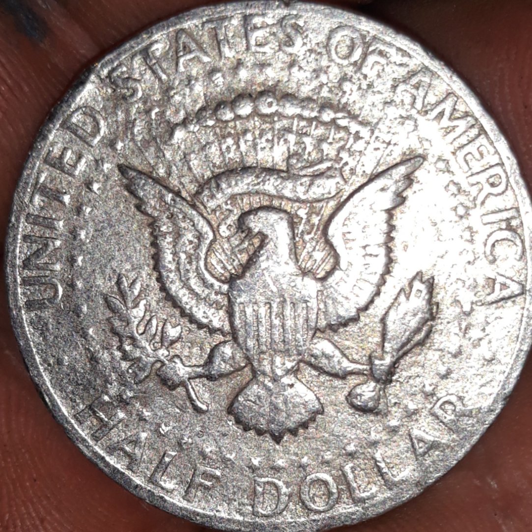 73-Half-Dollar-Need-Help